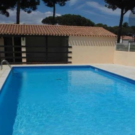 Apt T2/4 Pers/ Rez De Jardin\Pinede\Piscine Agde Eksteriør billede